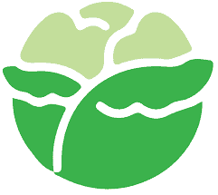 Lettuce Testing Framework